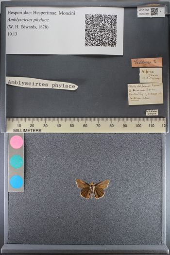 Media type: image;   Entomology 207389